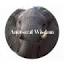 AncestralWisdom AI