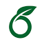 Overleaf AI
