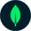 Voyage AI
